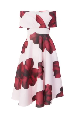 Quiz Wedding Guest Dresses|Occasion Dresses>Blush Floral Skater Dress