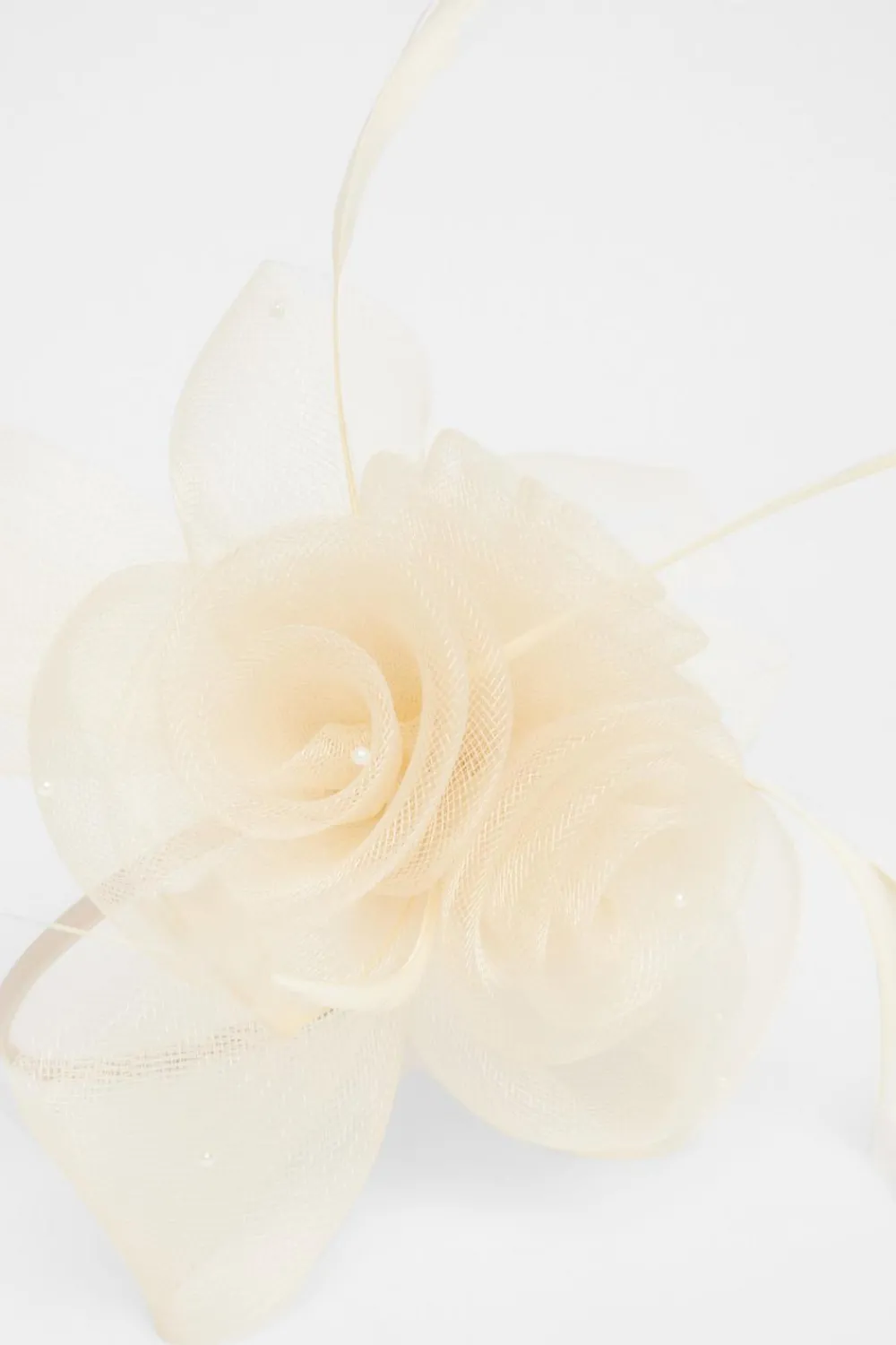 Quiz Wedding Accessories|Fascinators>Flower Headband Fascinator