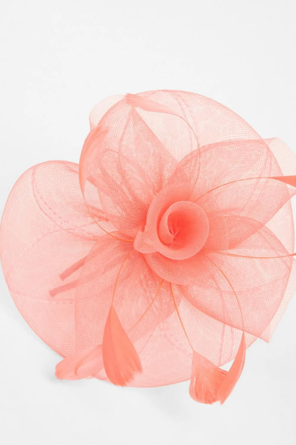 Quiz Wedding Accessories|Fascinators>Coral Spiral Headband Fascinator
