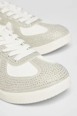 Quiz Trainers><noscript><img width=
