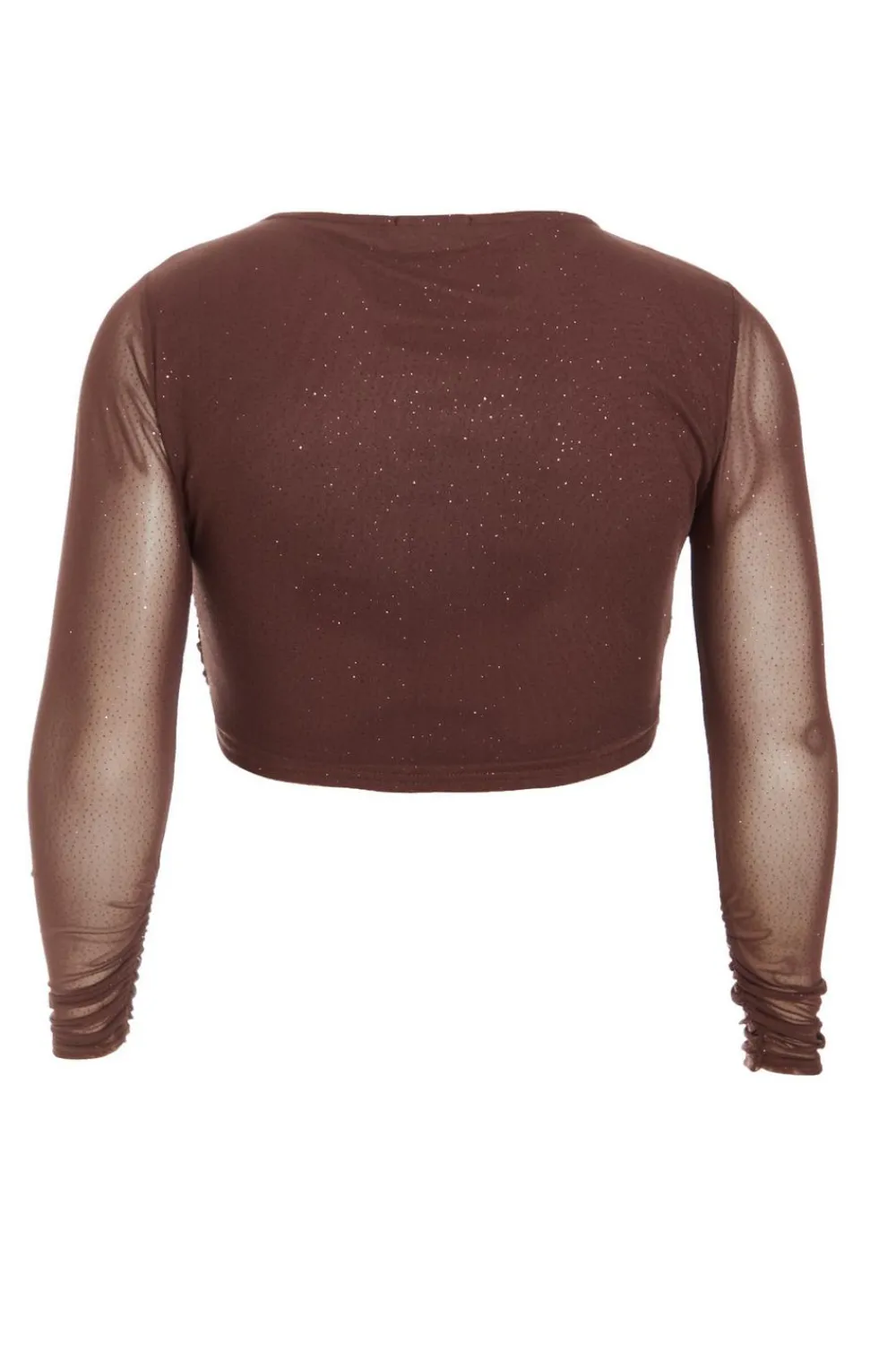 Quiz Going Out Tops|Crop Tops>Curve Glitter Mesh Long Sleeve Top