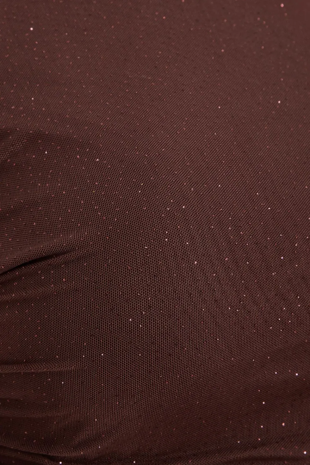 Quiz Going Out Tops|Crop Tops>Curve Glitter Mesh Long Sleeve Top