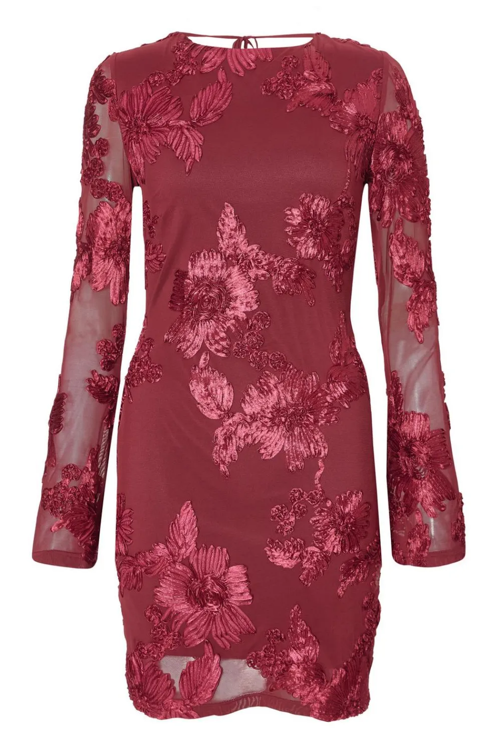 Quiz Trending: Red|Florals>Dark Red Floral Applique Mini Dress