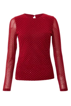 Quiz Going Out Tops|Trending: Red>Dark Red Mesh Long Sleeve Top