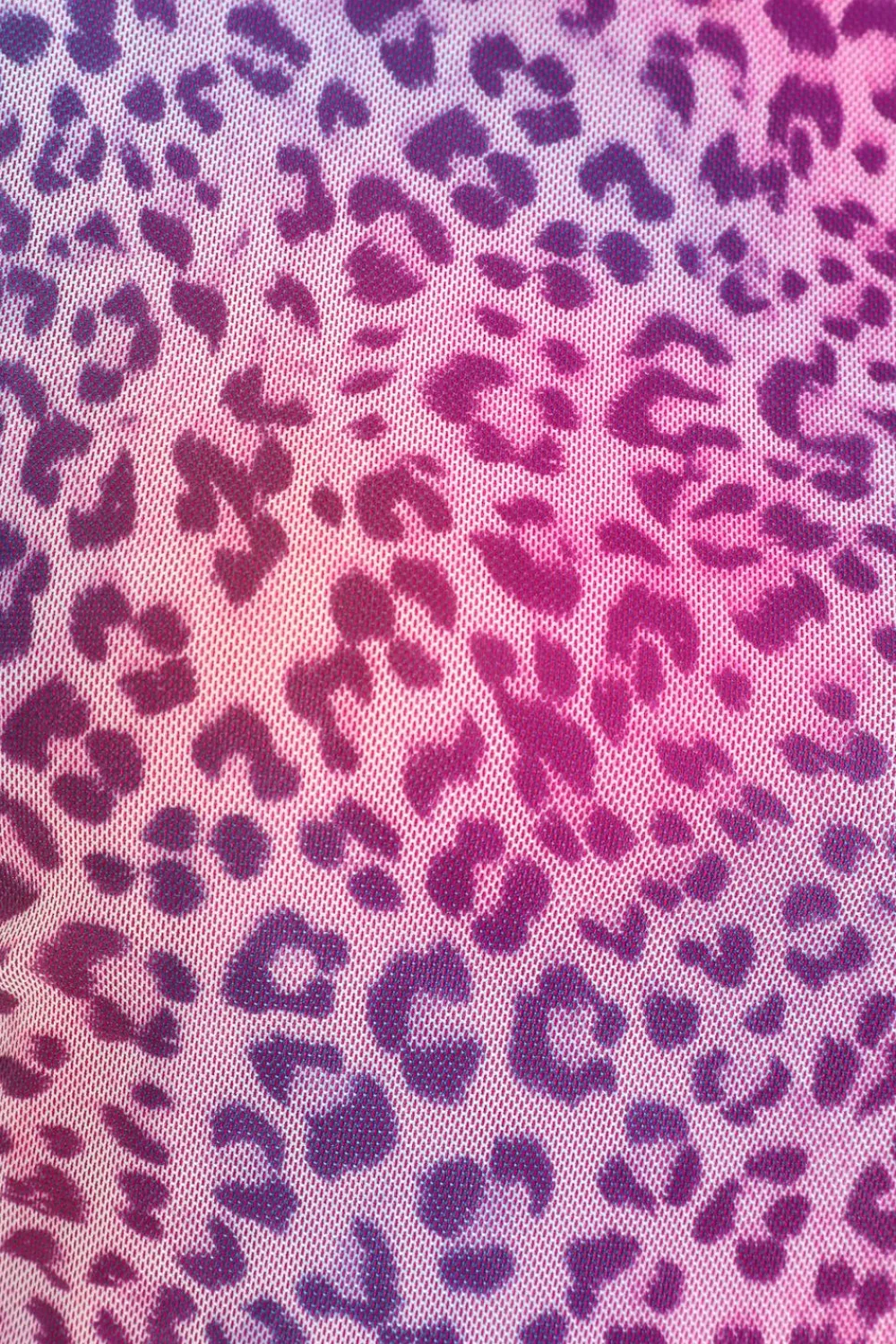 Quiz Summer Tops|Going Out Tops>Multicoloured Leopard Print Mesh Top