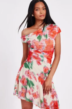 Quiz Trending: Red|Summer Clothes>Red Mesh Floral Mini Dress
