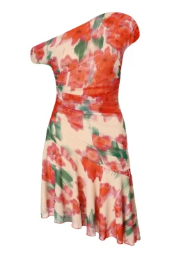 Quiz Trending: Red|Summer Clothes>Red Mesh Floral Mini Dress