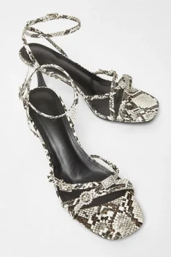 Quiz Heels><noscript><img width=