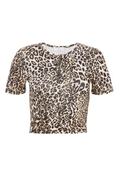 Quiz T-Shirts|Day Tops>Stone Leopard Print Cropped T-shirt