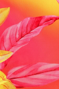 Quiz Summer Tops|Crop Tops><noscript><img width=